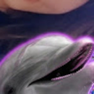 Meet your Posher, Abigail